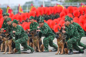Military Aviation Drills for International Defense Expo 2024 - image 2