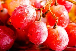 The World's Most Expensive Grapes: A Look at the Ruby Roman - image 0