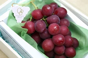 The World's Most Expensive Grapes: A Look at the Ruby Roman - image 5