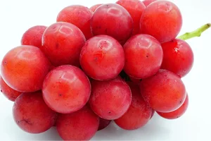 The World's Most Expensive Grapes: A Look at the Ruby Roman - image 3