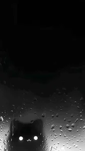 Sleek Black Wallpapers: 232+ Elegant, Minimalist, and High-Quality Dark Backgrounds - image 9