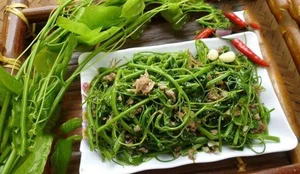 From Stream-Side Foraging to Gourmet Plates: The Rise of Wild Specialties - image 2