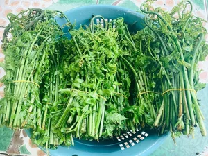From Stream-Side Foraging to Gourmet Plates: The Rise of Wild Specialties - image 4