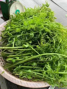 From Stream-Side Foraging to Gourmet Plates: The Rise of Wild Specialties - image 6