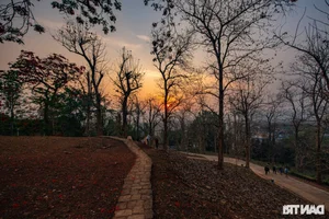 Remembering History: Exploring the Iconic A1 Hill Relic in Dien Bien Phu - image 13