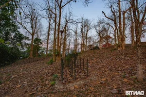Remembering History: Exploring the Iconic A1 Hill Relic in Dien Bien Phu - image 4