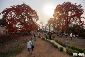 Remembering History: Exploring the Iconic A1 Hill Relic in Dien Bien Phu - image 9