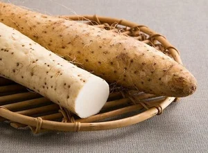 From Famine Food to Gourmet Delicacy: The Surprising Rise of Traditional Tubers - image 5