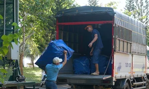 Con Dao Island Journey to Net Zero: Eco-Tourism and Green Future - image 5
