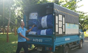 Con Dao Island Journey to Net Zero: Eco-Tourism and Green Future - image 9