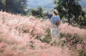 Moc Chau’s Stunning Pink Grass Hills: A New Must-Visit Destination for Nature Lovers - image 10