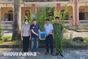 Rare Endangered Species from Red Data Book Found in Hai Duong - image 5