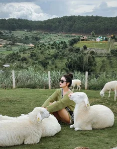 From School Celebrity to Chief Flight Attendant: Inside Her Luxurious Lifestyle - image 7