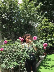 Inside the Lush Green Garden of Ho Ngoc Ha's Mother: A Green Oasis - image 10