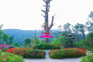 Discovering Hang Pagoda: A Hidden Spiritual Sanctuary in Hong Linh Mountain - image 9