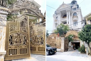 The Vietnamese Billionaire Village Built on Scrap Metal Trading - image 8