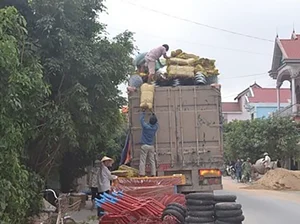 The Vietnamese Billionaire Village Built on Scrap Metal Trading - image 7