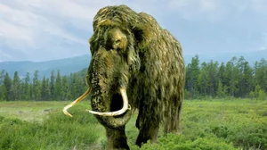 Should We Resurrect Extinct Animals? The De-Extinction Debate Explained - image 1
