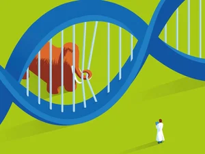 Should We Resurrect Extinct Animals? The De-Extinction Debate Explained - image 2