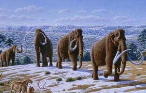 Should We Resurrect Extinct Animals? The De-Extinction Debate Explained - image 7