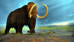 Should We Resurrect Extinct Animals? The De-Extinction Debate Explained - image 10