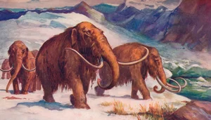 Should We Resurrect Extinct Animals? The De-Extinction Debate Explained - image 6