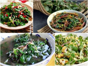 From Pig Feed to Gourmet: 3 Wild Plants Now Highly Sought After - image 6