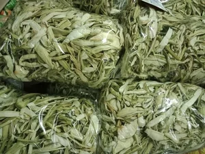 From Pig Feed to Gourmet: 3 Wild Plants Now Highly Sought After - image 0