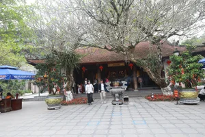 Tay Thien: A Spiritual Journey Through the Majestic Mountains of Vietnam - image 2