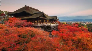 Top 10 Most Beautiful and Historic Temples to Visit in Japan - image 9