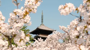 Top 10 Most Beautiful and Historic Temples to Visit in Japan - image 7