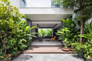 Smart Front Yard Planting Solutions for Enhanced Curb Appeal and Positive Feng Shui - image 5