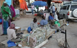 The Paradox of Hyperinflation: Inside Countries Where Cash is Abundant But Poverty Persists - image 10