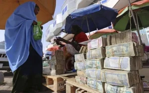 The Paradox of Hyperinflation: Inside Countries Where Cash is Abundant But Poverty Persists - image 8