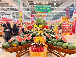 Seasonal Harvest: Watermelon and Mango Prices Drop Significantly - image 4