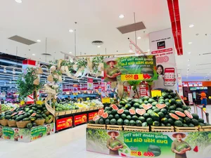 Seasonal Harvest: Watermelon and Mango Prices Drop Significantly - image 6