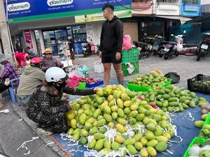 Seasonal Harvest: Watermelon and Mango Prices Drop Significantly - image 1