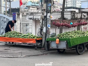 Seasonal Harvest: Watermelon and Mango Prices Drop Significantly - image 5