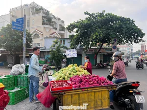 Seasonal Harvest: Watermelon and Mango Prices Drop Significantly - image 0