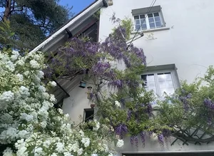 Inside Artist Le Vi’s Picturesque 4,000-Square-Meter Garden House Oasis - image 9