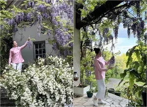Inside Artist Le Vi’s Picturesque 4,000-Square-Meter Garden House Oasis - image 2