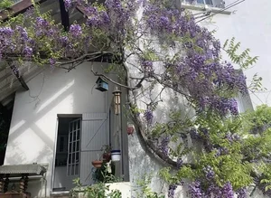 Inside Artist Le Vi’s Picturesque 4,000-Square-Meter Garden House Oasis - image 12