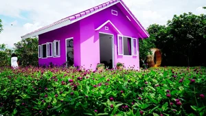 Discover the Enchanting All-Purple House in Can Tho, Vietnam - image 0