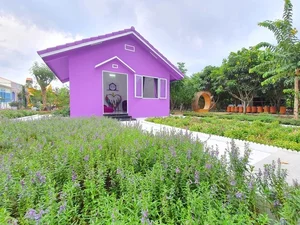 Discover the Enchanting All-Purple House in Can Tho, Vietnam - image 3