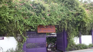 Discover the Enchanting All-Purple House in Can Tho, Vietnam - image 1