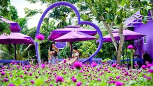 Discover the Enchanting All-Purple House in Can Tho, Vietnam - image 2