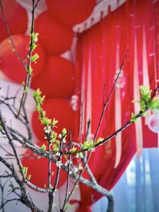 Inside Supermodel Thuy Hanh's Stunning Red-Themed Lunar New Year Villa - image 1