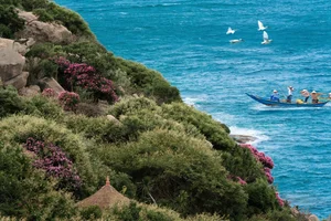 Top 4 Must-Visit Summer Camping Spots in Phan Thiet for Nature Lovers - image 7