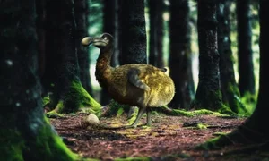 De-Extinction Science: Extinct Animals That Could Soon Be Resurrected - image 9