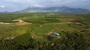 American Media Amazed by Lush Eco-Friendly House in Vung Tau - image 5